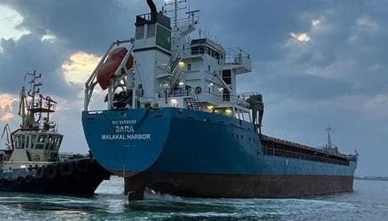 Зерновий коридор: з українських портів вже вийшли 24 судна з 600 тисячами тонн збіжжя