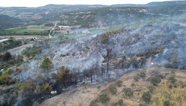 На заході Туреччини масштабна лісова пожежа, залучили два літаки та чотири гелікоптери