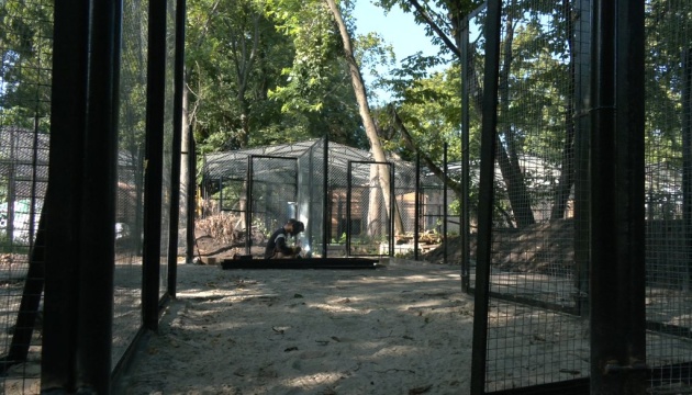 У черкаському зоопарку будують містечко для евакуйованих тварин