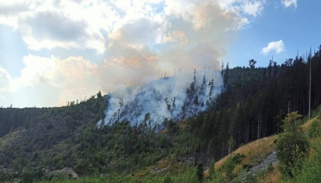На Прикарпатті другий день гасять лісову пожежу
