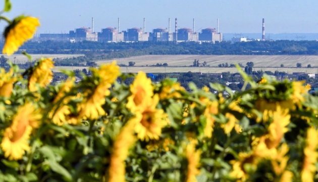 Director general del OIEA ha salido de la central nuclear de Zaporiyia, cinco representantes de la misión permanecen