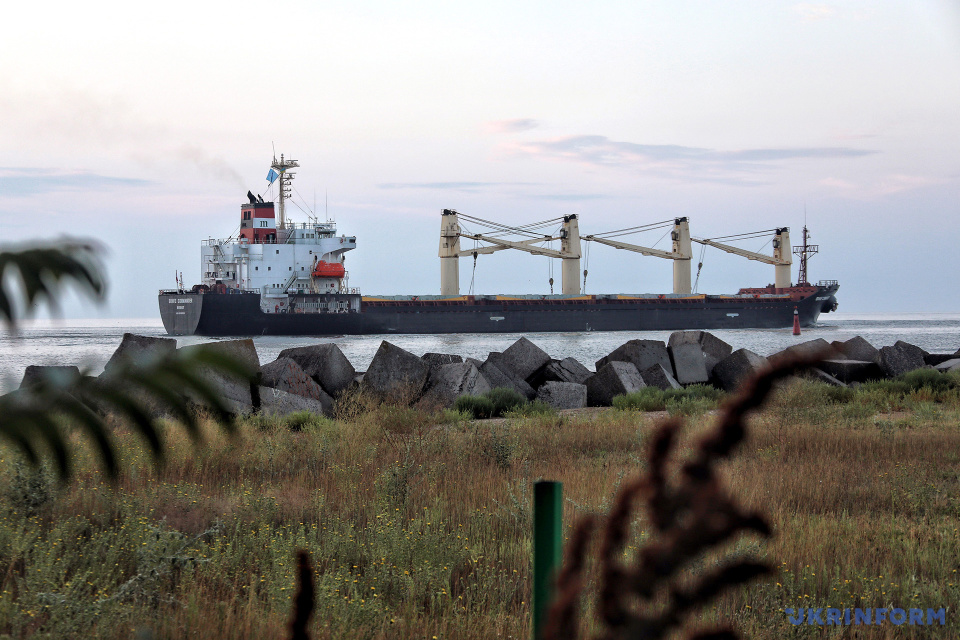 З одеського порту вийшло судно із зерном до Ефіопії / Фото: Ніна Ляшонок. Укрінформ