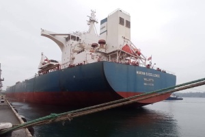 Из украинских морских портов вышли еще 9 судов с зерном