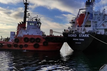 Nine more ships with grain leave Ukrainian ports