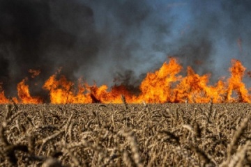 Die Ukraine verlor bis zu 10 Millionen Tonnen potenzieller Ernte