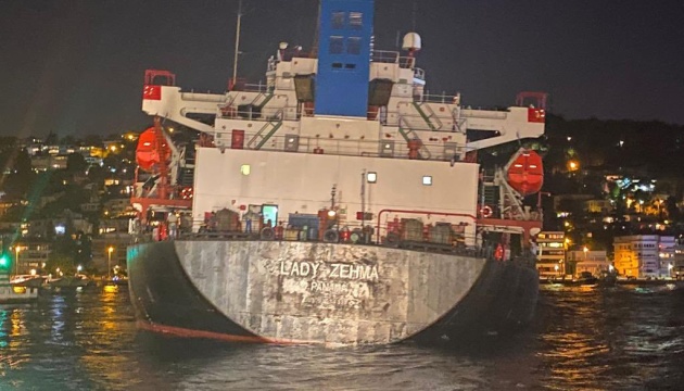 Cargo ship with Ukrainian corn drifts aground in Bosphorus Strait