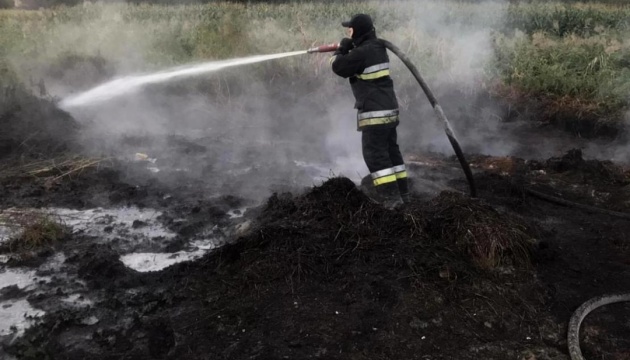 Під Києвом триває ліквідація двох торф'яних пожеж