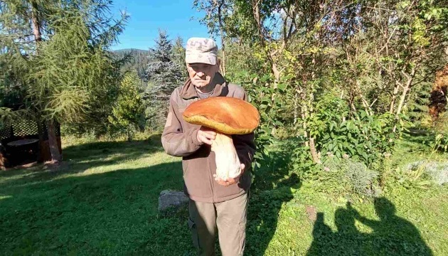 У Карпатах знайшли гриб вагою 3 кілограми