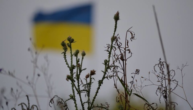 More than 40 settlements already de-occupied in Kharkiv Region – regional administration