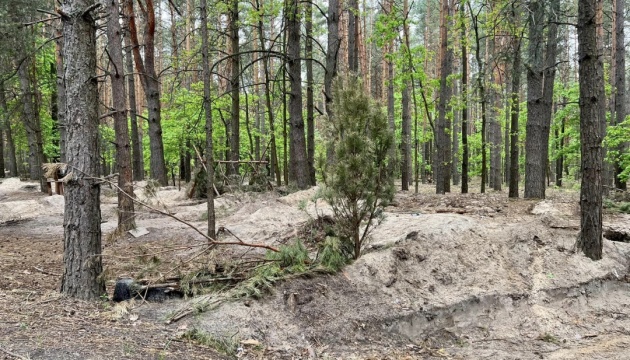 ЄС допоможе висадити в Україні 4 мільярди дерев до 2030 року