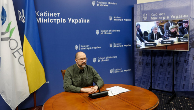 Шмигаль сподівається, що ОЕСР підтримає заявку України на вступ в Організацію