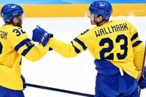 МИД Швеции призвал своих хоккеистов не ехать в россию