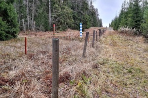 Фінляндія розпочне будівництво паркану на кордоні з росією ще цього року – ЗМІ