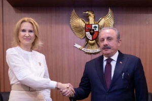 Кондратюк обговорила з головою парламенту Туреччини російську агресію і продовольчу безпеку