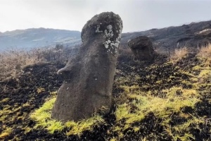 Из-за масштабного пожара на острове Пасха пострадали всемирно известные каменные статуи