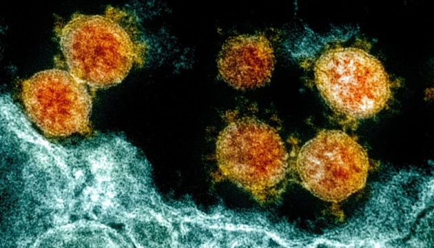 Пандемічний лікнеп: шо там з новими мутантами коронавіруса