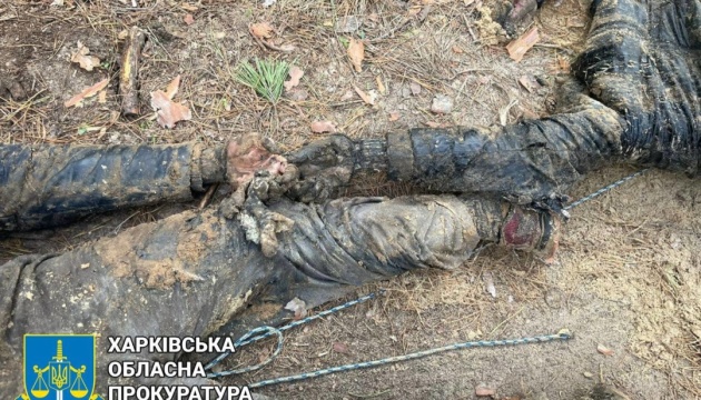 解放後ウクライナ東部にて手の拘束された男性２名の遺体発見