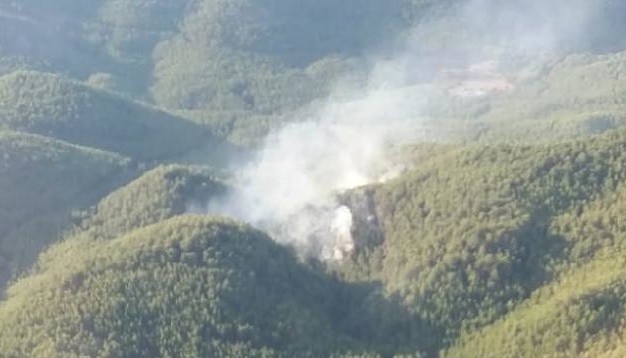У Туреччині знову горить ліс - пожежу гасять з повітря та землі