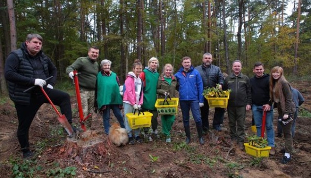 Ліси єднання: в Україні та світі висадили мільйон дерев 