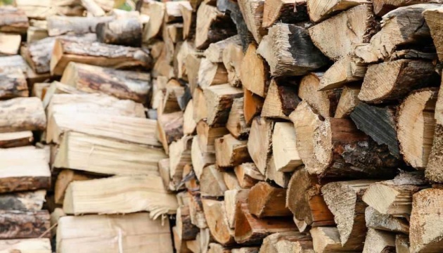 Жителям прифронтових територій почнуть доставляти безкоштовні дрова наступного тижня