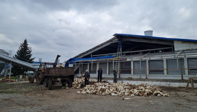 In Region Donezk zerstören Russen eines der größten Eierproduktionsunternehmen