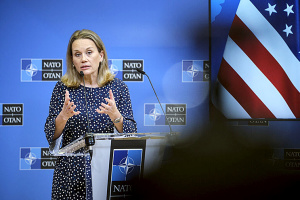 Ukraine likely to get NATO support message, not full invite - U.S. ambassador