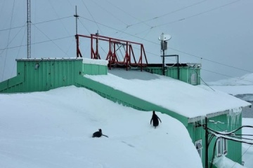 Pingüinos caminan sobre el techo de la estación Akademik Vernadsky cubierta de nieve