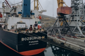 Nine grain ships left Odesa region’s ports over two days