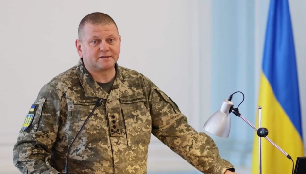Zaluzhnyi, Cavoli discuss military aid, situation on battlefield