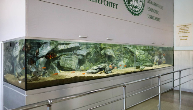 У Херсоні за час окупації загинули риби в унікальному акваріумі аграрного університету