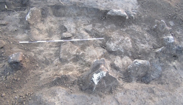 На Тернопільщині виявили поховання скіфської доби