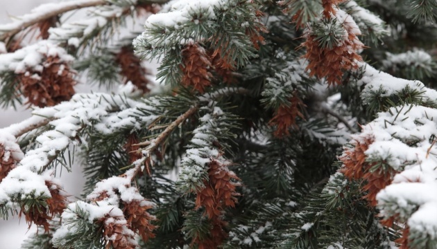 В Україні завтра ймовірний мокрий сніг та дощ, вдень до 5° тепла
