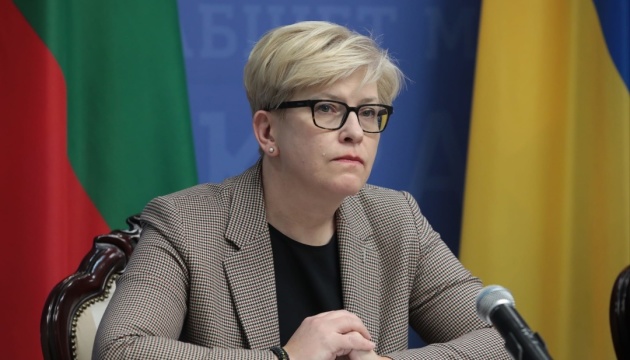 Прем'єрка Литви закликає передбачити додаткову допомогу Україні під час перегляду бюджету ЄС