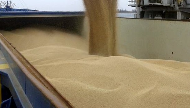 Ukraine sends more than 194,000 tonnes of grain to Africa this year