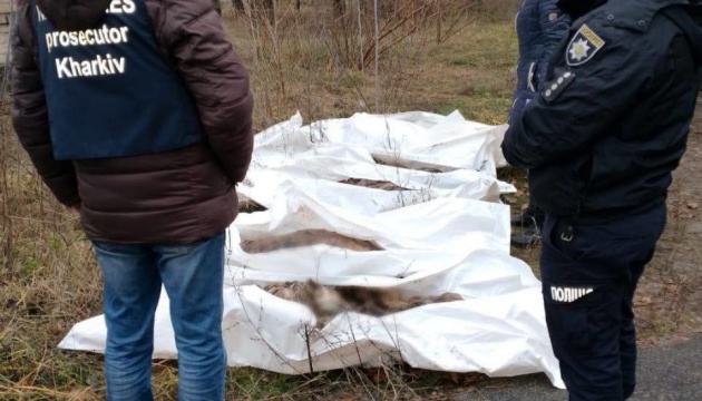 ハルキウ州でロシア砲撃による死者５名の遺体発掘