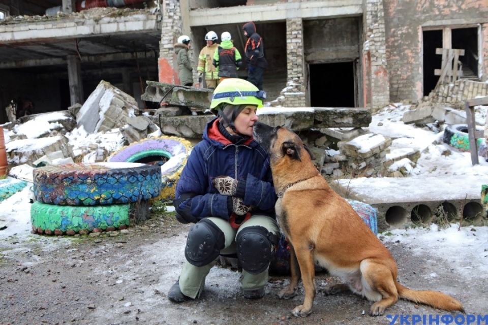 Учебный кинологический центр в г. Ромны, готовящий поисковых собак для работы в ГСЧС / Фото: Владимир Тарасов, Укринформ