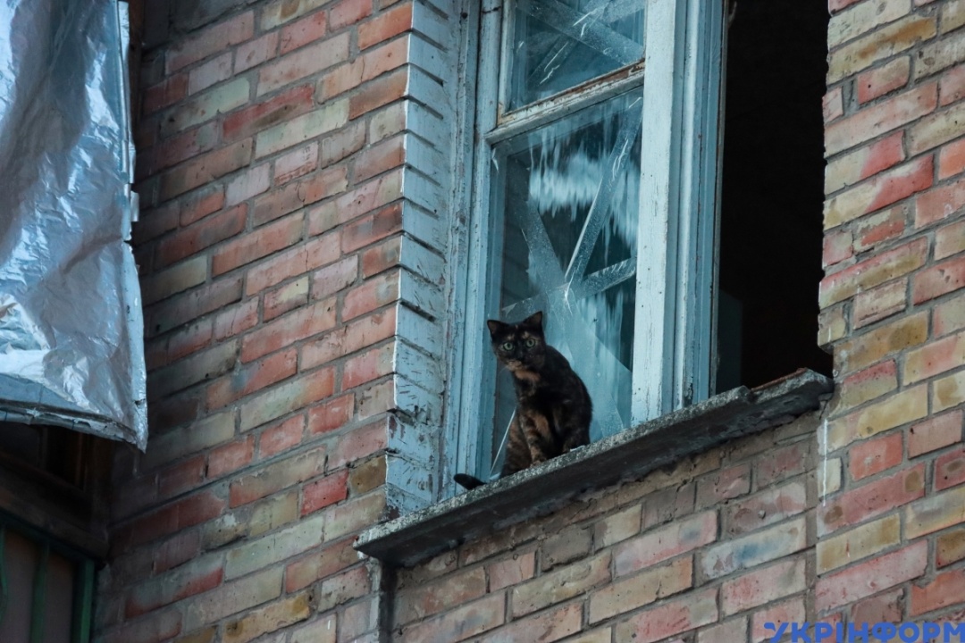 Фото: Анатолій Сірик