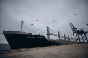 Second ship with humanitarian wheat leaves Ukraine for Ethiopia