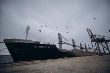 Grain from Ukraine: Zweites Schiff mit 30.000 Tonnen Weizen auf dem Weg nach Äthiopien