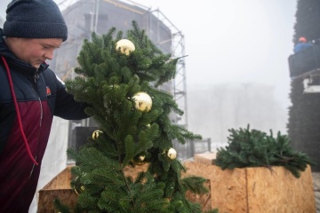 Decoran el árbol de Navidad en la plaza Sofiyska en Kyiv