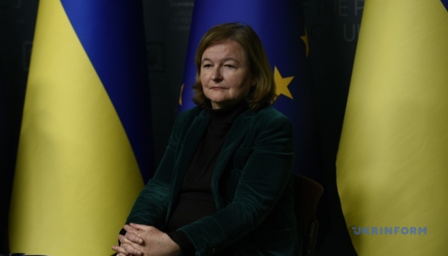 Голова безпекового підкомітету Європарламенту: Ніхто не може сказати, що Україна не хоче миру