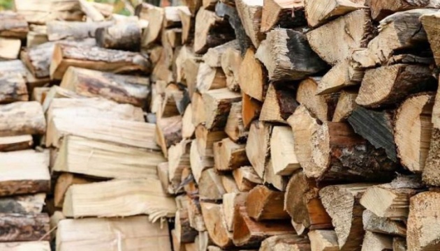 Понад 480 кубометрів дров від Укрзалізниці передали для опалення будинків жителів Харківщини