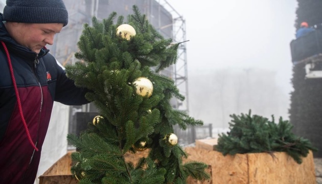 Decoran el árbol de Navidad en la plaza Sofiyska en Kyiv