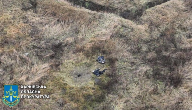 На Харківщині двоє чоловіків підірвалися на ворожій міні