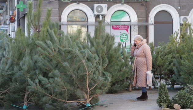 У Києві пункти утилізації новорічних ялинок працюватимуть до кінця січня