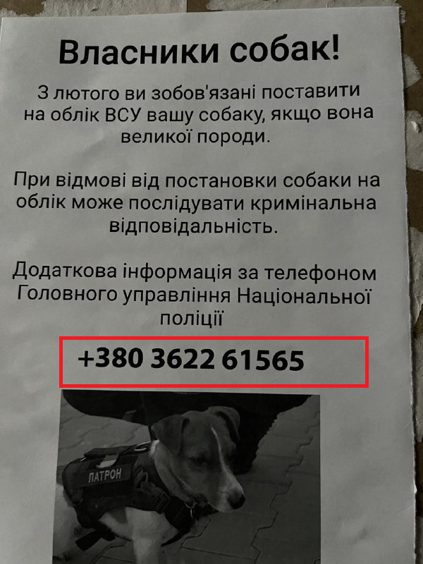 Propaganda rusa difundiendo folletos falsos sobre la movilización de perros en Ucrania