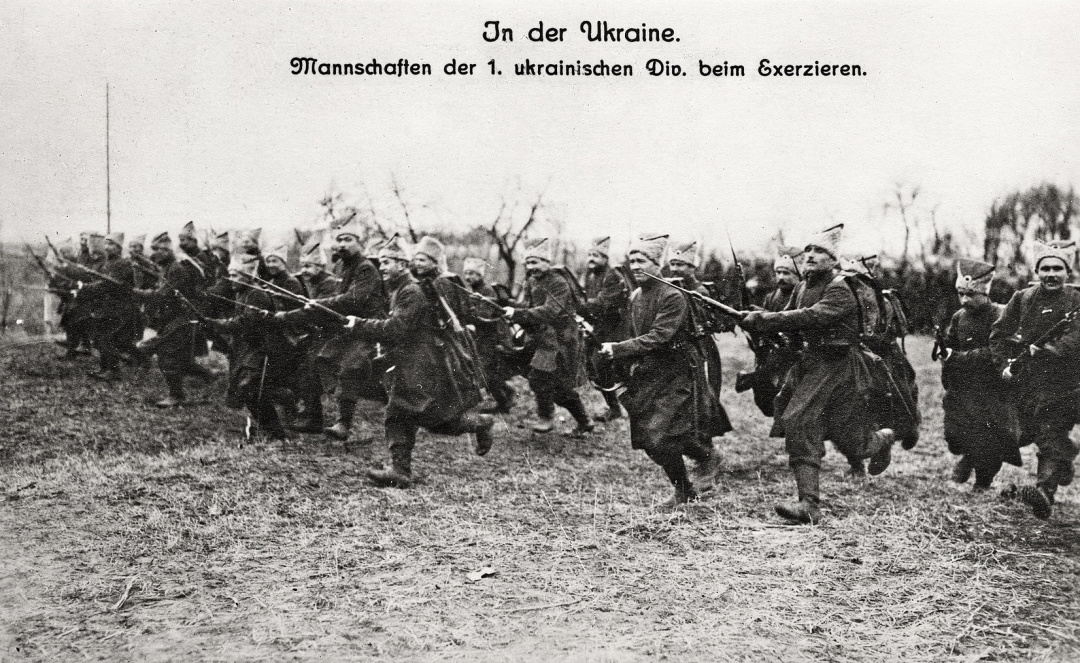 1-а Українська дивізія синьожупанників на польових навчаннях, 1918 р.