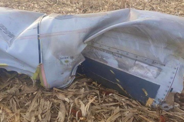 Russia’s Kh-55 missile fragments discovered in Kyiv region