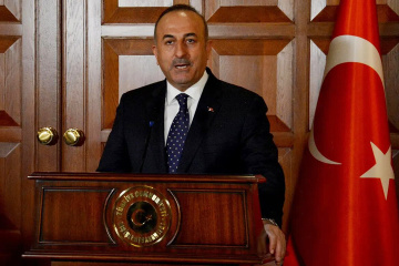 Çavuşoğlu: Turkey supports peace formula proposed by Ukraine 