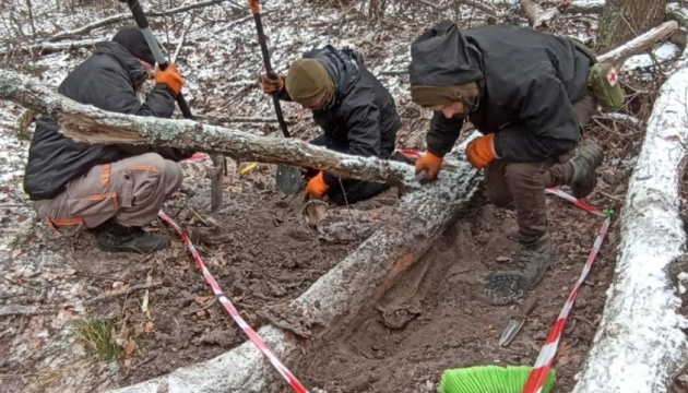 Мінреінтеграції просить повідомляти про місця ймовірних поховань українських воїнів